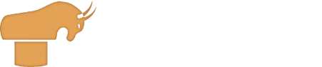 Mechanical Bull
